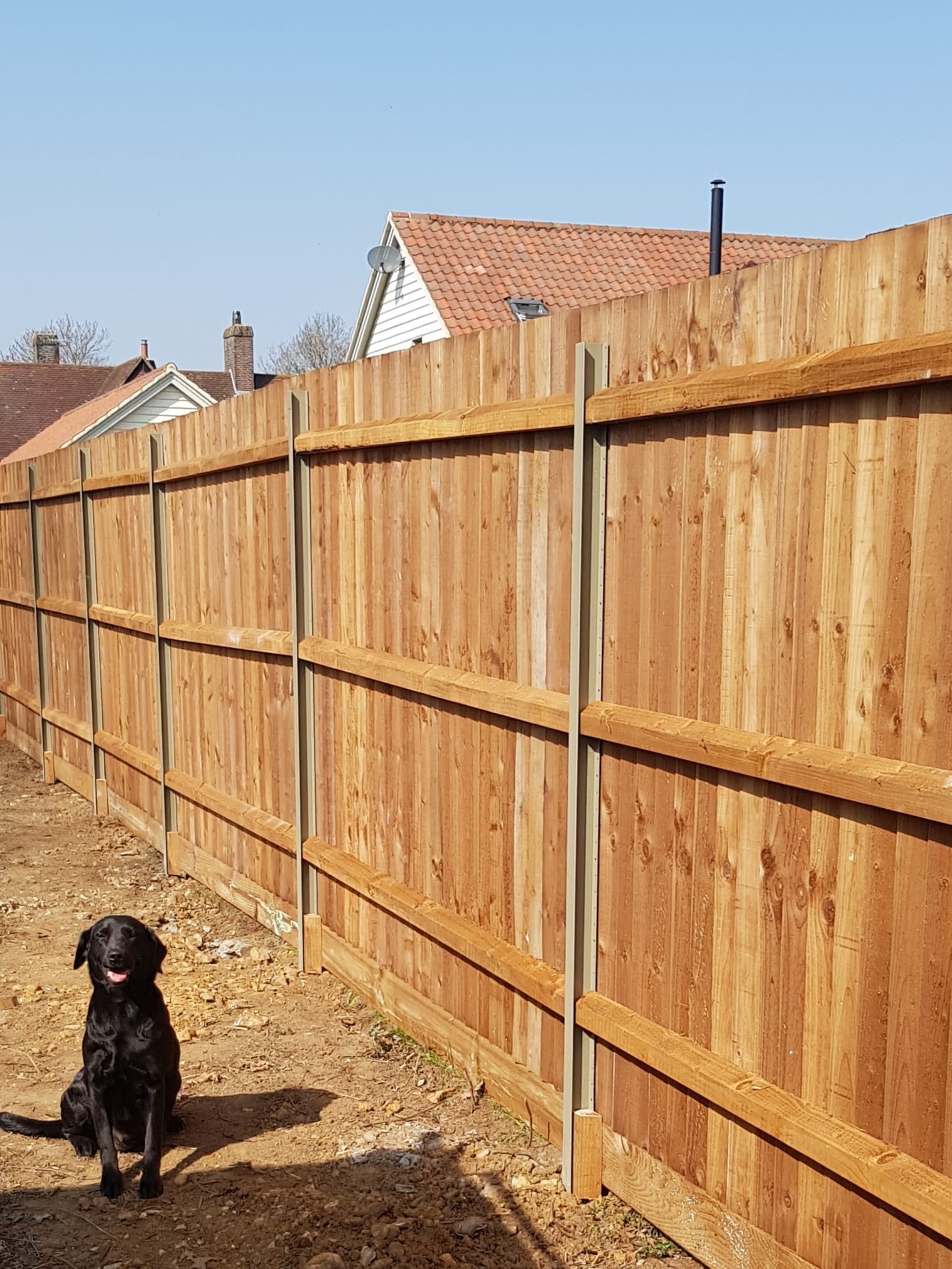 Close Board Fence